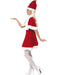 Buy Miss Santa Dress Costume for Adults from Costume Super Centre AU