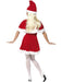 Buy Miss Santa Dress Costume for Adults from Costume Super Centre AU