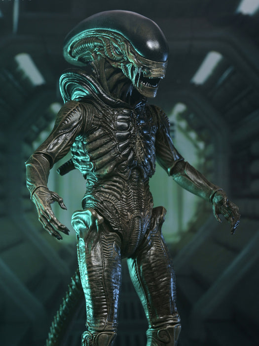 Ultimate Xenomorph - 7" Scale Action Figure - Alien Earth - NECA Collectibles