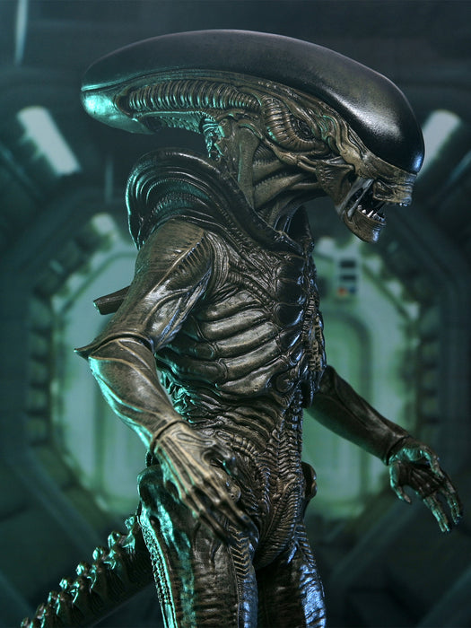 Ultimate Xenomorph - 7" Scale Action Figure - Alien Earth - NECA Collectibles