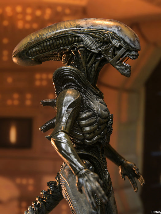 Ultimate Wendy's Xenomorph - 7" Scale Action Figure - Alien Earth - NECA Collectibles
