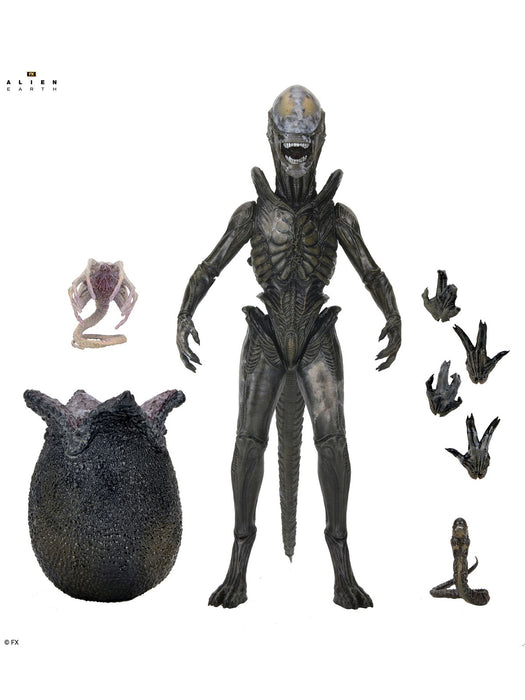 Ultimate Wendy's Xenomorph - 7" Scale Action Figure - Alien Earth - NECA Collectibles
