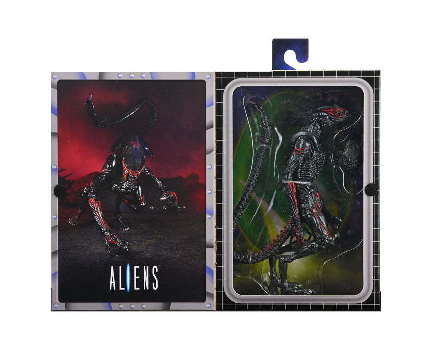 Buy Aliens - 7" Scale Action Figure - Kenner Tribute Night Cougar Alien - NECA Collectibles from Costume Super Centre AU