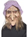 Buy Old Witch Mask for Adults from Costume Super Centre AU