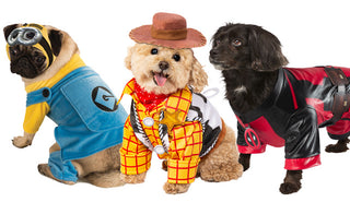 Shop fun costumes for pets online at Costume Super Centre Australia. We have dog costumes for your best friends 