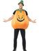 Buy Pumpkin Costume for Adults from Costume Super Centre AU