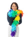 Buy Rainbow Feather Boa Accessory from Costume Super Centre AU