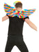 Buy Rainbow Feather Wings for Adults from Costume Super Centre AU