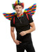 Buy Rainbow Feather Wings for Adults from Costume Super Centre AU