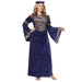 Buy Renaissance Maiden Plus Size Costume for Adults from Costume Super Centre AU