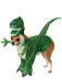 Buy Rex Costume for Pets - Disney Pixar Toy Story from Costume Super Centre AU