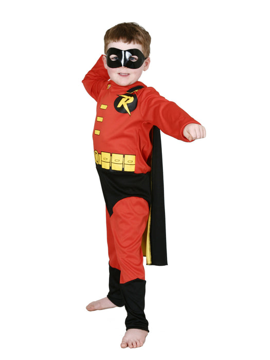 Buy Robin Deluxe Costume for Kids - Warner Bros DC Comics from Costume Super Centre AU