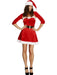 Buy Santa Babe Fever Costume for Adults from Costume Super Centre AU