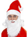 Buy Santa Dress Up Kit for Adults from Costume Super Centre AU