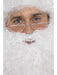 Buy Santa Half Moon Specs for Adults from Costume Super Centre AU