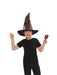 Buy Sorting Hat with House Badges for Kids - Harry Potter from Costume Super Centre AU