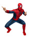 Buy Spider-Man Costume for Adults - Marvel Spider-Man from Costume Super Centre AU