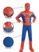 Buy Spider-Man Deluxe Costume for Kids - Marvel Spider-Man Brand New Day from Costume Super Centre AU