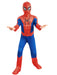 Buy Spider-Man Deluxe Costume for Kids - Marvel Spider-Man Brand New Day from Costume Super Centre AU