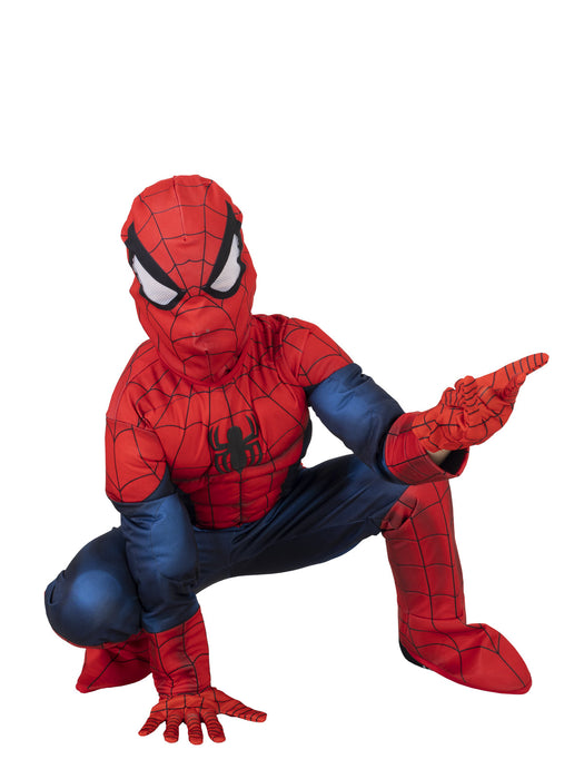 Buy Spider-Man Premium Costume for Kids - Marvel Spider-Man from Costume Super Centre AU