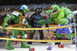 Buy Stump Wresting Turtles 4 Pack - 7" Scale Action Figure - Teenage Mutant Ninja Turtles (Archie Comics) - NECA Collectibles from Costume Super Centre AU