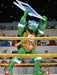 Buy Stump Wresting Turtles 4 Pack - 7" Scale Action Figure - Teenage Mutant Ninja Turtles (Archie Comics) - NECA Collectibles from Costume Super Centre AU