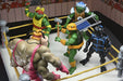 Buy Stump Wresting Turtles 4 Pack - 7" Scale Action Figure - Teenage Mutant Ninja Turtles (Archie Comics) - NECA Collectibles from Costume Super Centre AU