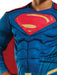 Buy Superman Deluxe Costume for Kids - Warner Bros DC Comics from Costume Super Centre AU