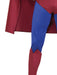 Buy Superman Supreme Edition Costume for Adults - Warner Bros Superman Returns from Costume Super Centre AU
