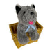 Buy Toto in a Basket - The Wizard of Oz from Costume Super Centre AU
