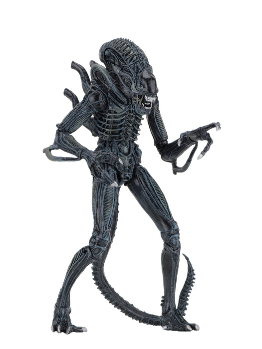 Buy Ultimate Alien Warrior Blue (1986) - 7" Scale Action Figure - Aliens - NECA Collectibles from Costume Super Centre AU