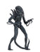 Buy Ultimate Alien Warrior Blue (1986) - 7" Scale Action Figure - Aliens - NECA Collectibles from Costume Super Centre AU