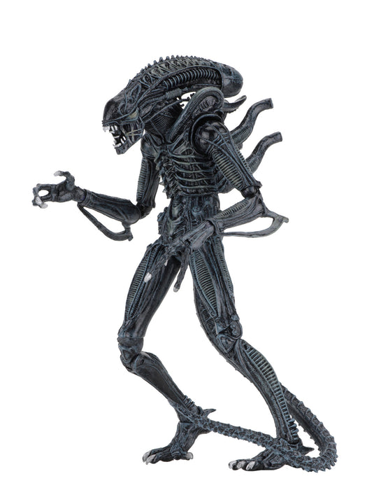Buy Ultimate Alien Warrior Blue (1986) - 7" Scale Action Figure - Aliens - NECA Collectibles from Costume Super Centre AU