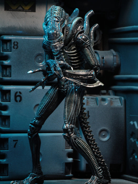 Buy Ultimate Alien Warrior Blue (1986) - 7" Scale Action Figure - Aliens - NECA Collectibles from Costume Super Centre AU