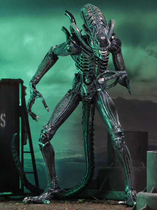 Buy Ultimate Alien Warrior Blue (1986) - 7" Scale Action Figure - Aliens - NECA Collectibles from Costume Super Centre AU