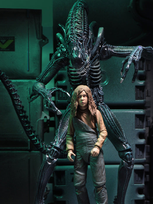 Buy Ultimate Alien Warrior Blue (1986) - 7" Scale Action Figure - Aliens - NECA Collectibles from Costume Super Centre AU