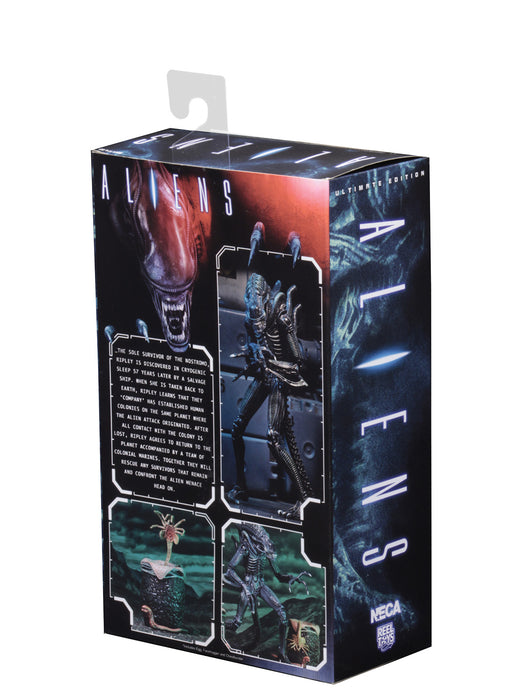 Buy Ultimate Alien Warrior Blue (1986) - 7" Scale Action Figure - Aliens - NECA Collectibles from Costume Super Centre AU