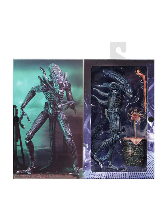 Buy Ultimate Alien Warrior Blue (1986) - 7" Scale Action Figure - Aliens - NECA Collectibles from Costume Super Centre AU