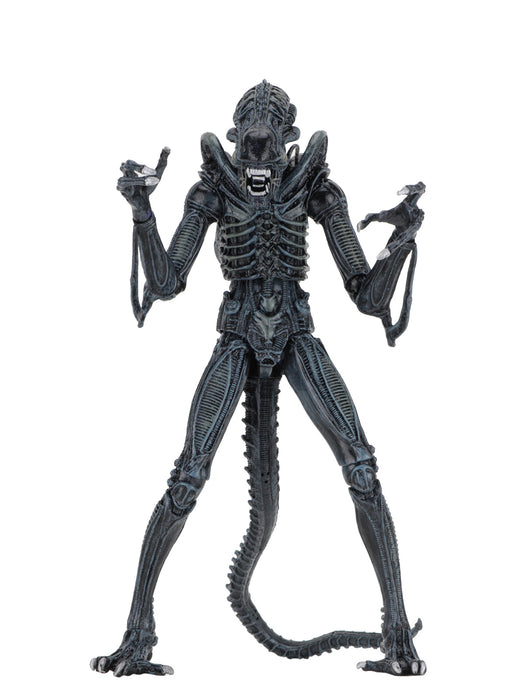 Buy Ultimate Alien Warrior Blue (1986) - 7" Scale Action Figure - Aliens - NECA Collectibles from Costume Super Centre AU
