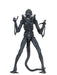 Buy Ultimate Alien Warrior Blue (1986) - 7" Scale Action Figure - Aliens - NECA Collectibles from Costume Super Centre AU