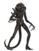 Buy Ultimate Alien Warrior Brown (1986) - 7" Scale Action Figure - Aliens - NECA Collectibles from Costume Super Centre AU