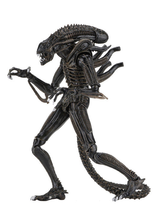 Buy Ultimate Alien Warrior Brown (1986) - 7" Scale Action Figure - Aliens - NECA Collectibles from Costume Super Centre AU