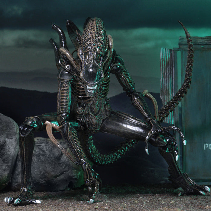 Buy Ultimate Alien Warrior Brown (1986) - 7" Scale Action Figure - Aliens - NECA Collectibles from Costume Super Centre AU