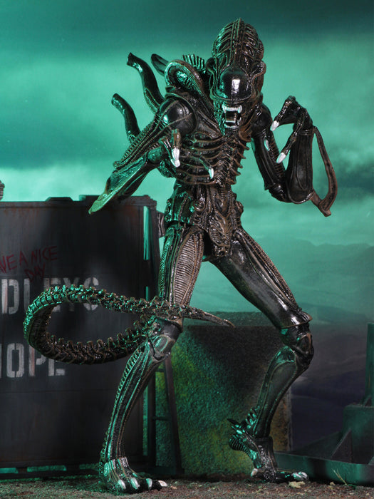 Buy Ultimate Alien Warrior Brown (1986) - 7" Scale Action Figure - Aliens - NECA Collectibles from Costume Super Centre AU