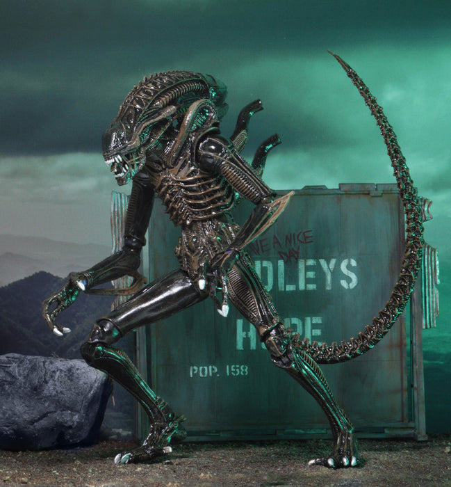 Buy Ultimate Alien Warrior Brown (1986) - 7" Scale Action Figure - Aliens - NECA Collectibles from Costume Super Centre AU