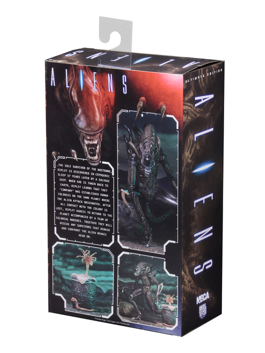 Buy Ultimate Alien Warrior Brown (1986) - 7" Scale Action Figure - Aliens - NECA Collectibles from Costume Super Centre AU
