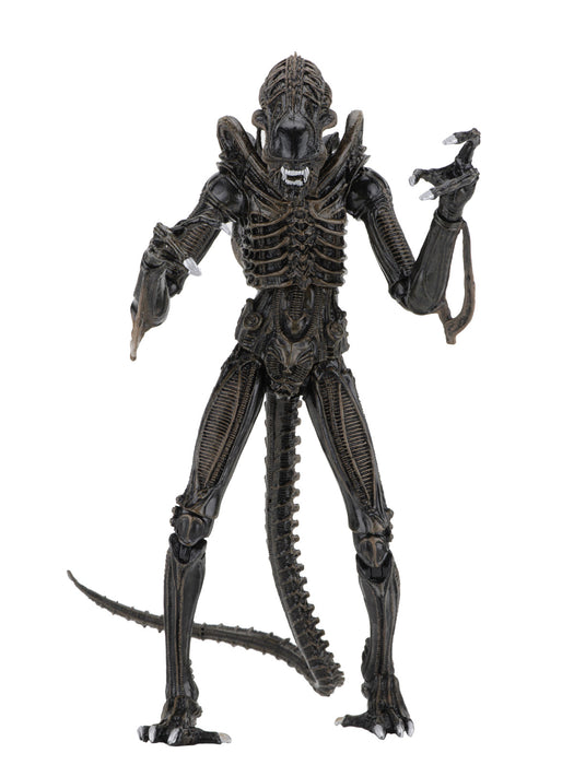 Buy Ultimate Alien Warrior Brown (1986) - 7" Scale Action Figure - Aliens - NECA Collectibles from Costume Super Centre AU