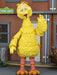 Buy Ultimate Big Bird - 7" Scale Action Figure - Sesame Street - NECA Collectibles from Costume Super Centre AU