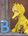 Buy Ultimate Big Bird - 7" Scale Action Figure - Sesame Street - NECA Collectibles from Costume Super Centre AU