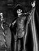 Buy Ultimate Pharntom Masque of the Red Death B&W - 7" Scale Action Figure - Phantom of the Opera 1925 - NECA Collectibles from Costume Super Centre AU